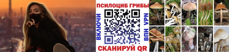 Галлюциногенные грибы MAGIC MUSHROOMS  это состав  Кунгур 
